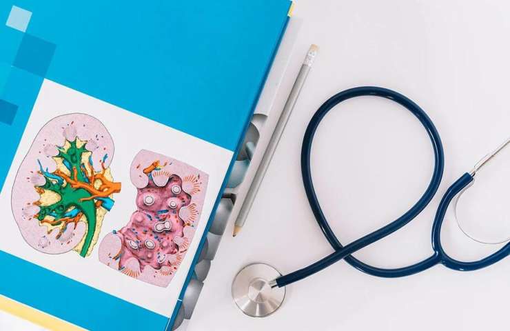 Factores de riesgo para el cáncer de riñón